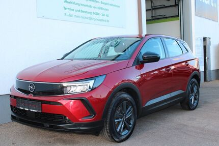 Opel Grandland (X) 100.400 km 17.890 &euro; Lampertheim 68623