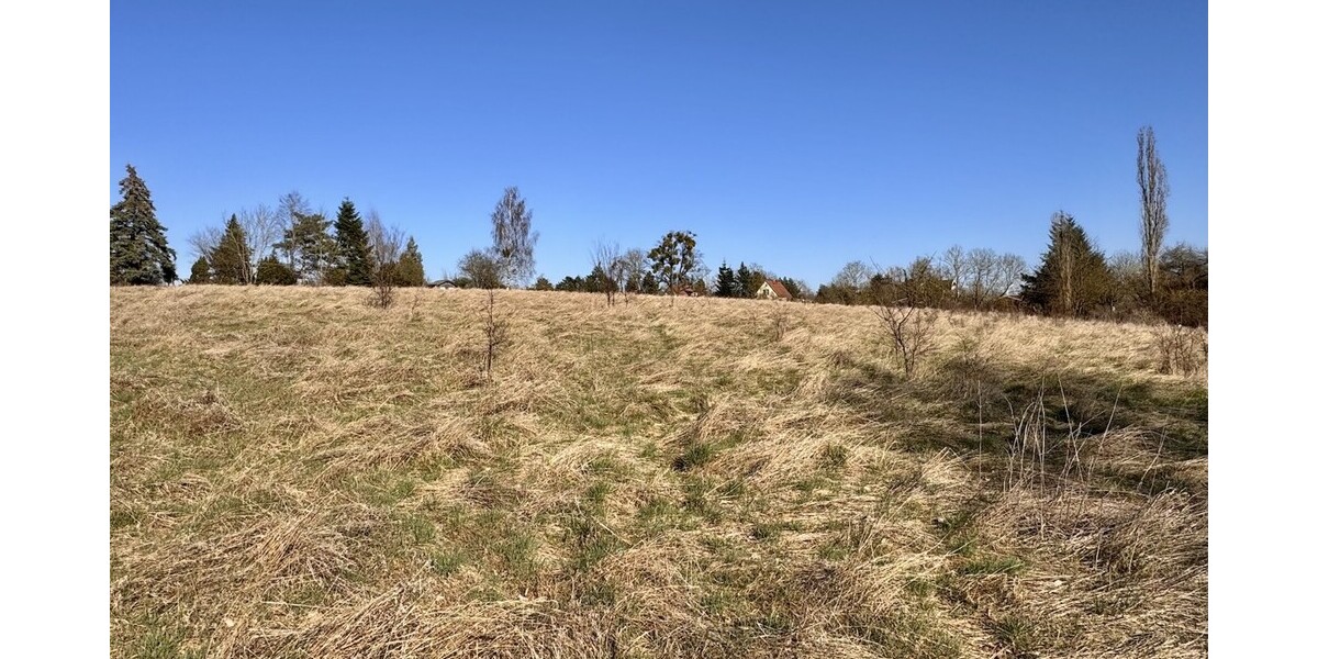 HORN IMMOBILIEN++ Baugrundstücke in Brüssow - Grundstück Brüssow | Angebot:26932035