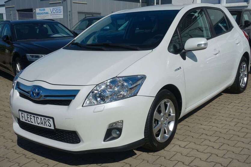 Auris