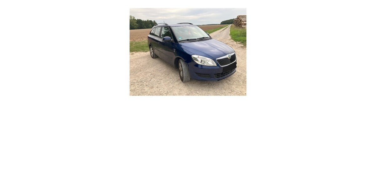 Skoda Fabia 208.650 km 2.200 € Aurachtal 91086