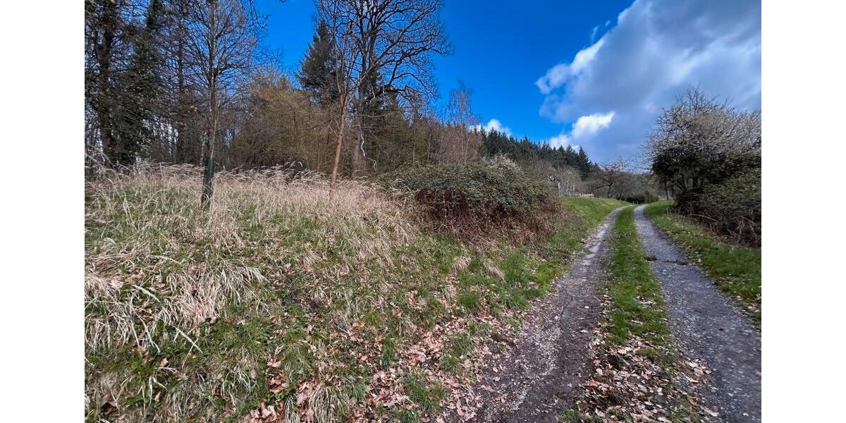 Grundstück Winnenden - 2.500&euro; | Angebot:26425207