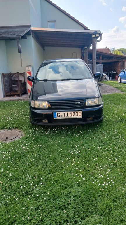 Polo