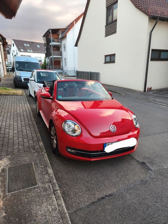 Beetle