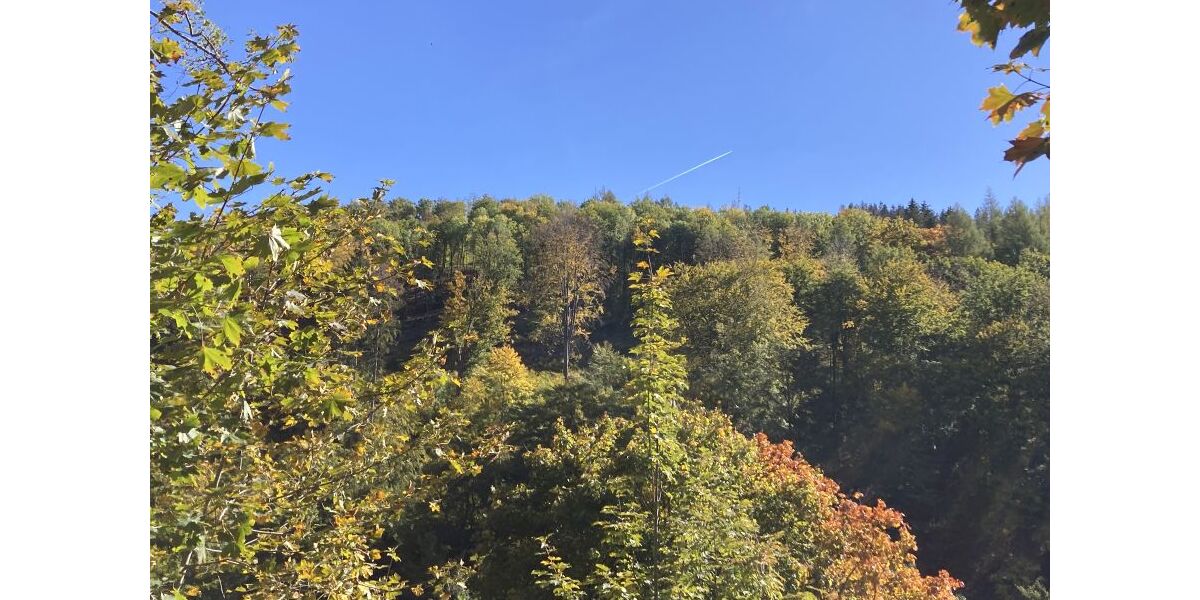 Provisionsfrei* Kleines Hotel im Thüringer Wald sucht neuen Eigentümer - Gewerbeobjekt Suhl Schmiedefeld am Rennsteig | Angebot:25642404