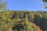 Provisionsfrei* Kleines Hotel im Thüringer Wald sucht neuen Eigentümer - Gewerbeobjekt Suhl Schmiedefeld am Rennsteig | Angebot:25642404