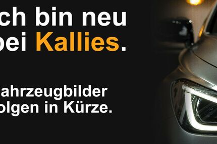 Renault Alaskan 51.000 km 25.900 &euro; Zeitz 06712
