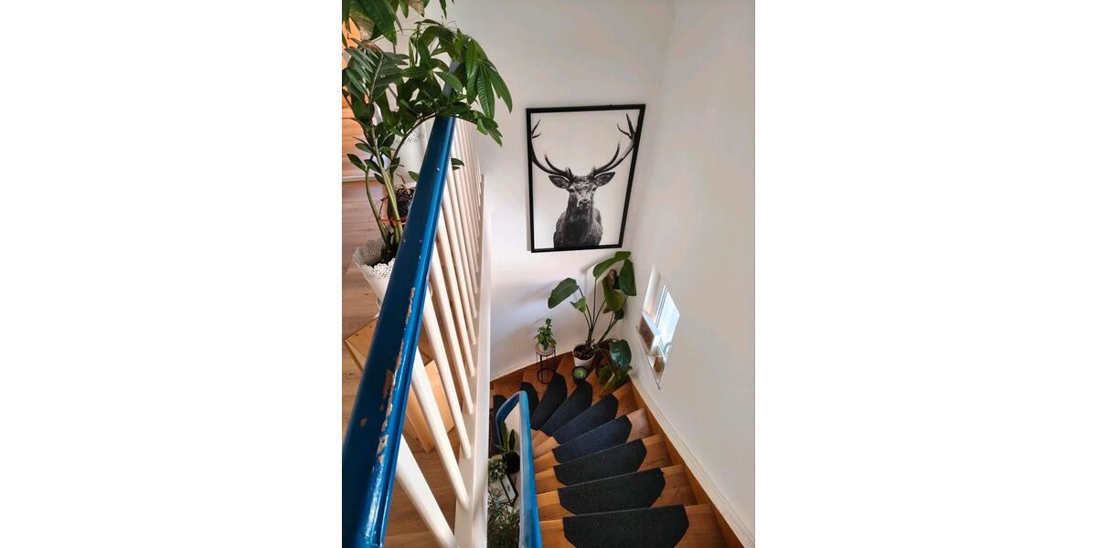 Einfamilienhaus Haßloch - 4 Zimmer, 133 m&sup2;, 380.000&euro; | Angebot:26070803