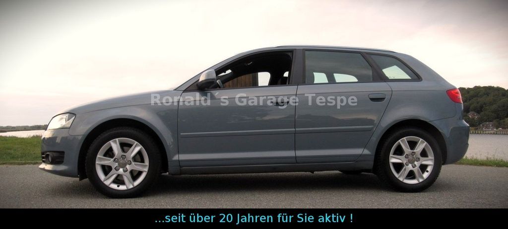Audi A3 80.800 km 9.400 € Tespe 21395