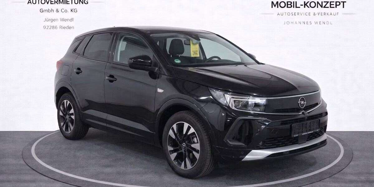 Opel Grandland X 27.300 km 21.900 &euro; Rieden 92286