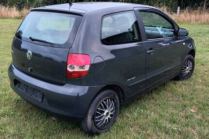 VW Fox