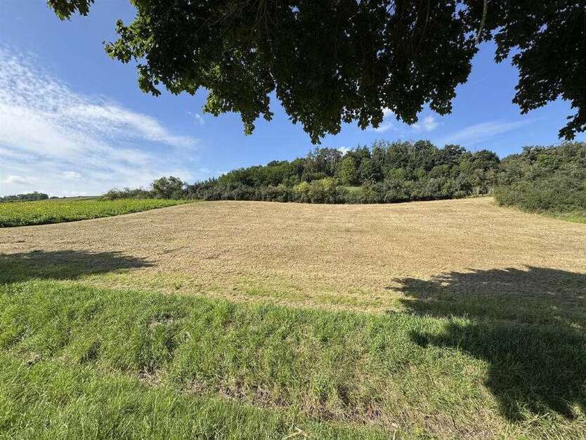 Grundstück in Rimbach 71.253 € 5481 m²