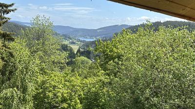 ROHBAU MIT ALPINEM CHARME - Einfamilienhaus Feldberg | Angebot:27016564