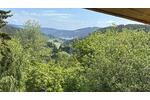 ROHBAU MIT ALPINEM CHARME - Einfamilienhaus Feldberg | Angebot:27016564