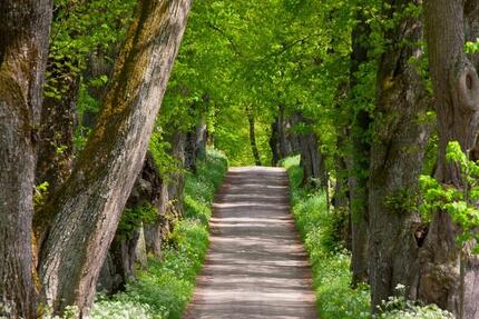 Schöne Dachgeschosswohnung 2 zimmer