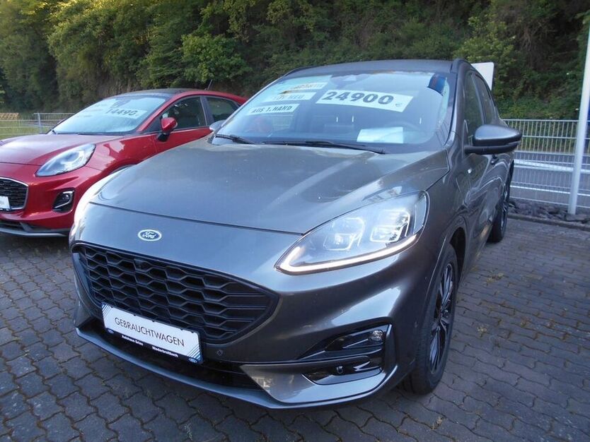 Kuga