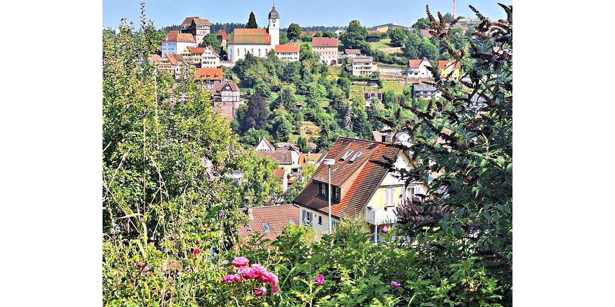 Grundstück Altensteig - 285.000&euro; | Angebot:26049371