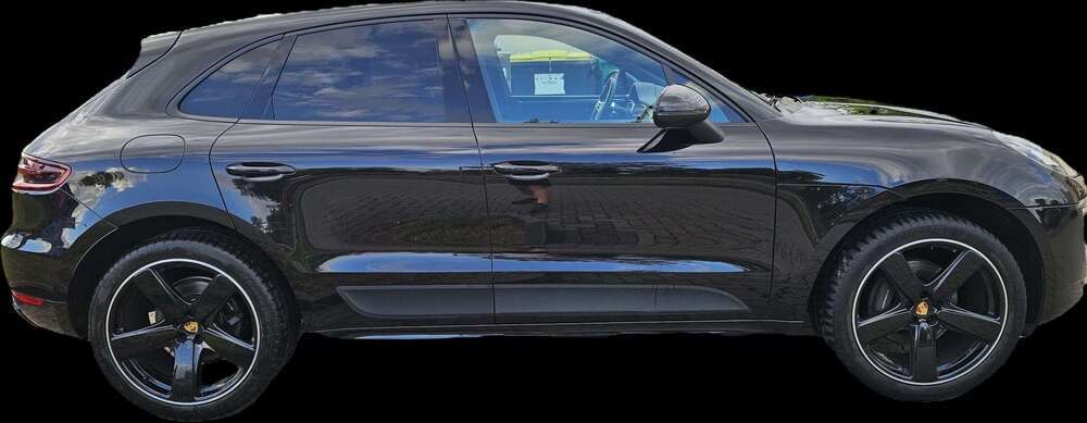 Macan