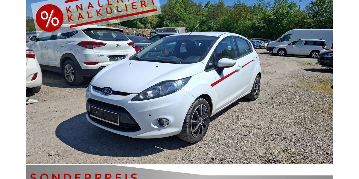 Ford Fiesta 135.989 km 3.685 &euro; Achern 77855