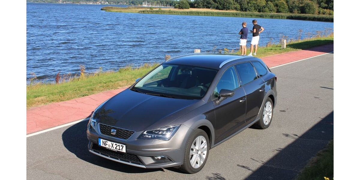 Seat Leon 116.000 km 15.399 &euro; Schwabstedt 25876