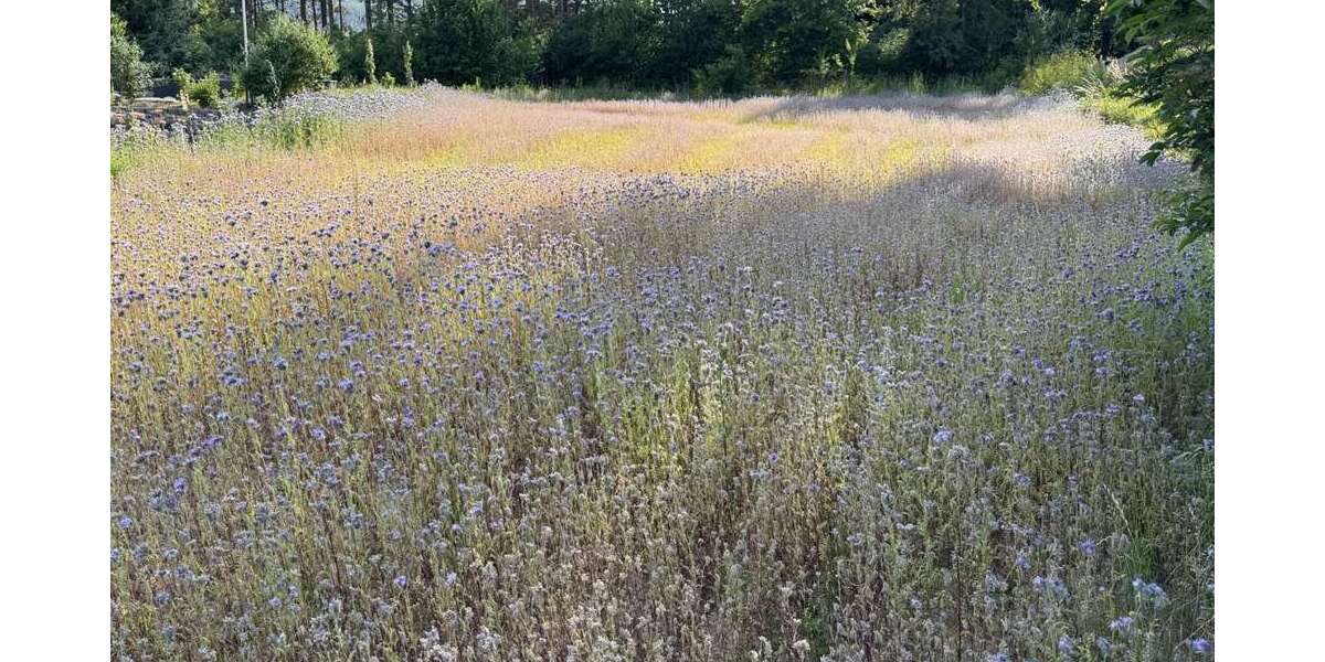 Grundstück Hebenshausen Hebenshausen - 37.500&euro; | Angebot:21346240