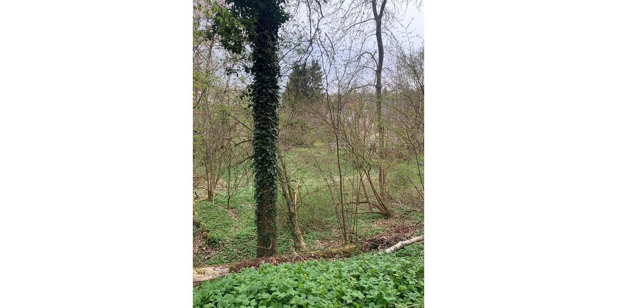 Grundstück Runkel - 30.000&euro; | Angebot:26133688