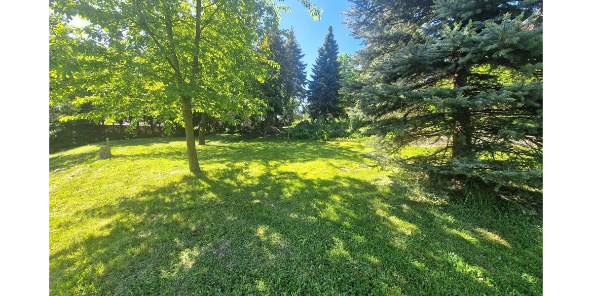 Großzügiges Baugrundstück in ruhiger Südhanglage - Grundstück Lichtenau Garnsdorf | Angebot:20201273