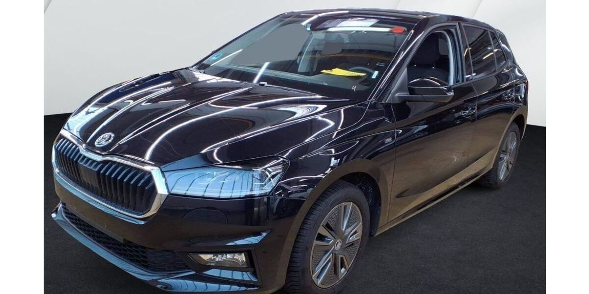 Skoda Fabia 15.100 km 19.480 &euro; Wetzlar 35578