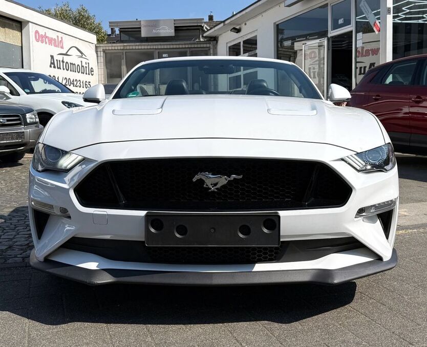 Mustang
