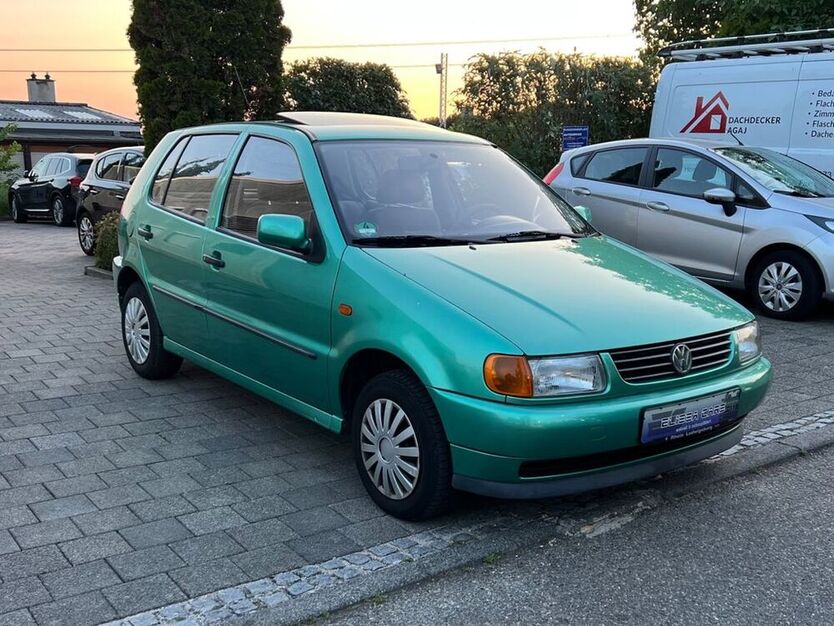 Polo