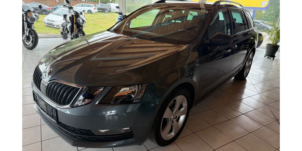 Skoda Octavia 83.000 km 14.800 &euro; Schwarmstedt 29690