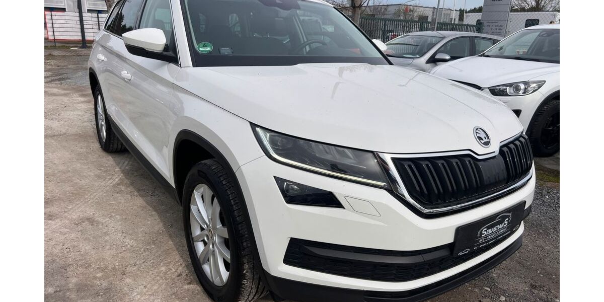 Skoda Kodiaq 142.000 km 19.999 &euro; Neuseddin bei Berlin 14554