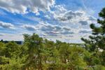2 ZKBB* Wannenbad* Laminat* Aufzug* 5.OG * TG-Stellpl.* Süd-Balkon* Wannenbad* GriesheimHochhäuser - Etagenwohnung Griesheim / Flughafenstr. Flughafenstr. | Angebot:27333721