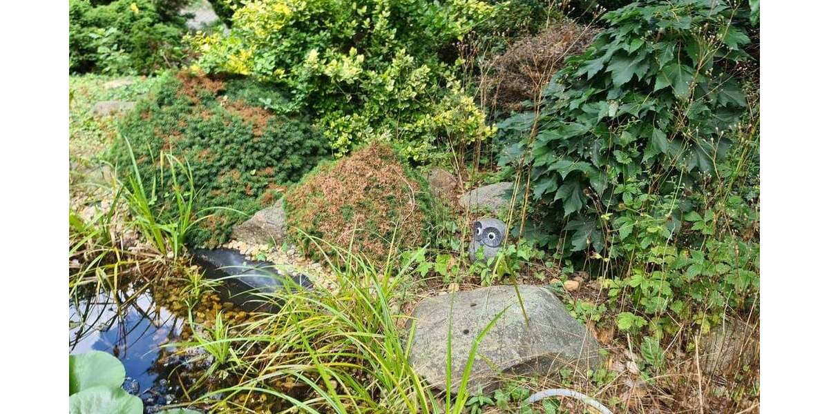 Einfamilienhaus Döbern - 4 Zimmer, 91 m&sup2;, 130.000&euro; | Angebot:23854944