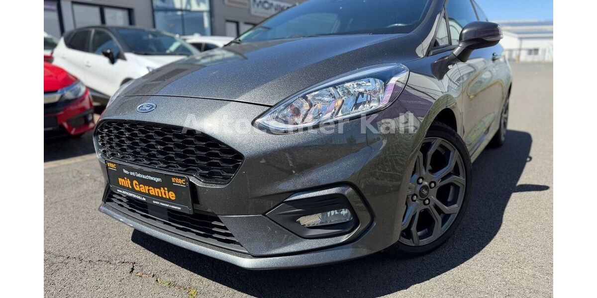 Ford Fiesta 132.000 km 5.990 &euro; Kall 53925