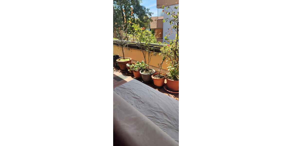 Etagenwohnung Ottobrunn - 2 Zimmer, 66 m&sup2;, 750&euro; | Angebot:25989085