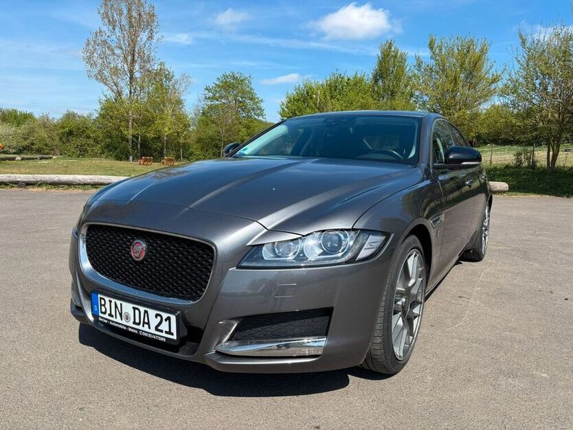 XF