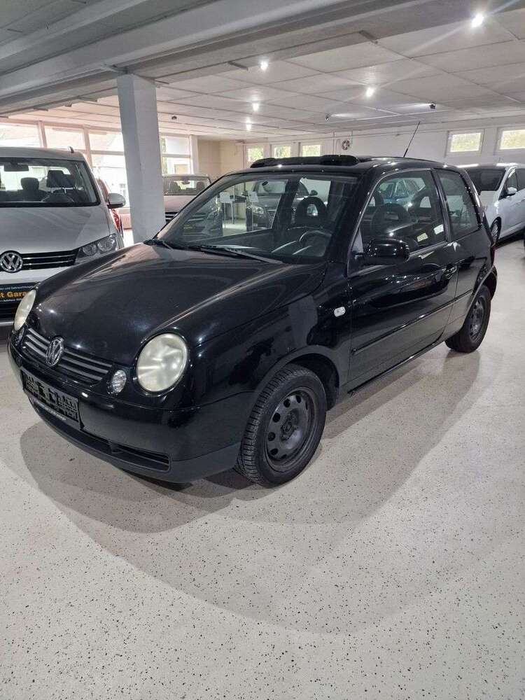 Lupo