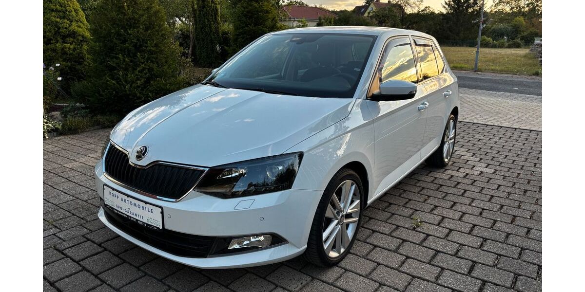 Skoda Fabia 55.600 km 10.450 &euro; Roßtal 90574