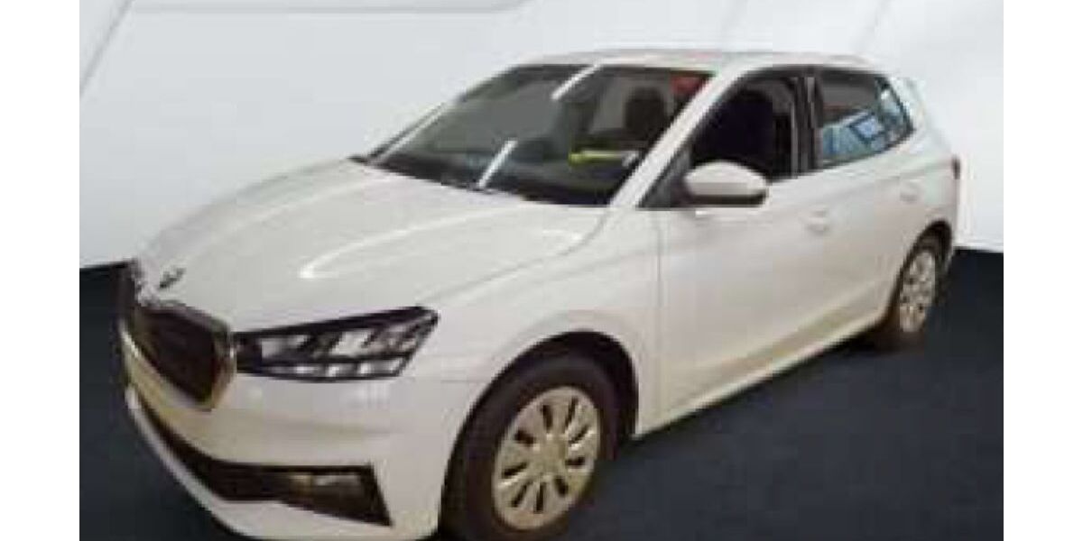 Skoda Fabia 14.821 km 18.330 &euro; Mitterteich 95666