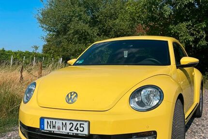 VW Beetle 69.845 km 9.850 &euro; Neustadt an der Weinstraße 67435