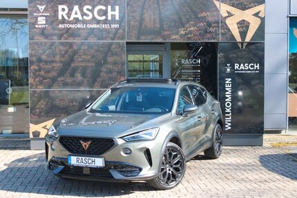 Cupra Formentor 41.071 km 32.950 &euro; Cloppenburg 49661