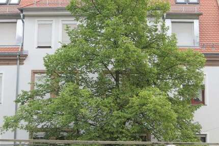 Wohnung Nürnberg Hasenbuck - 1 Zimmer, 34 m&sup2;, 472&euro; | Angebot:26884403