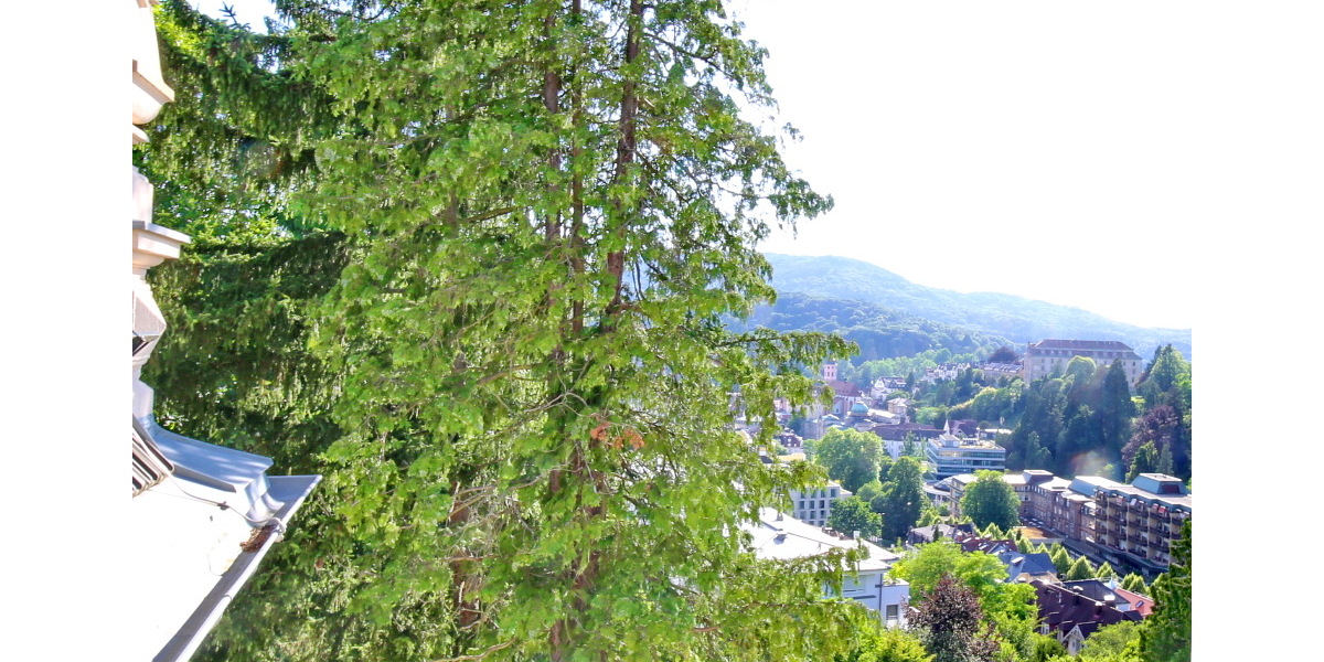 *Preissenkung* Wohnen in historischem Gebäude am Annaberg - 2- Baden-Baden Baden | Angebot:26967501