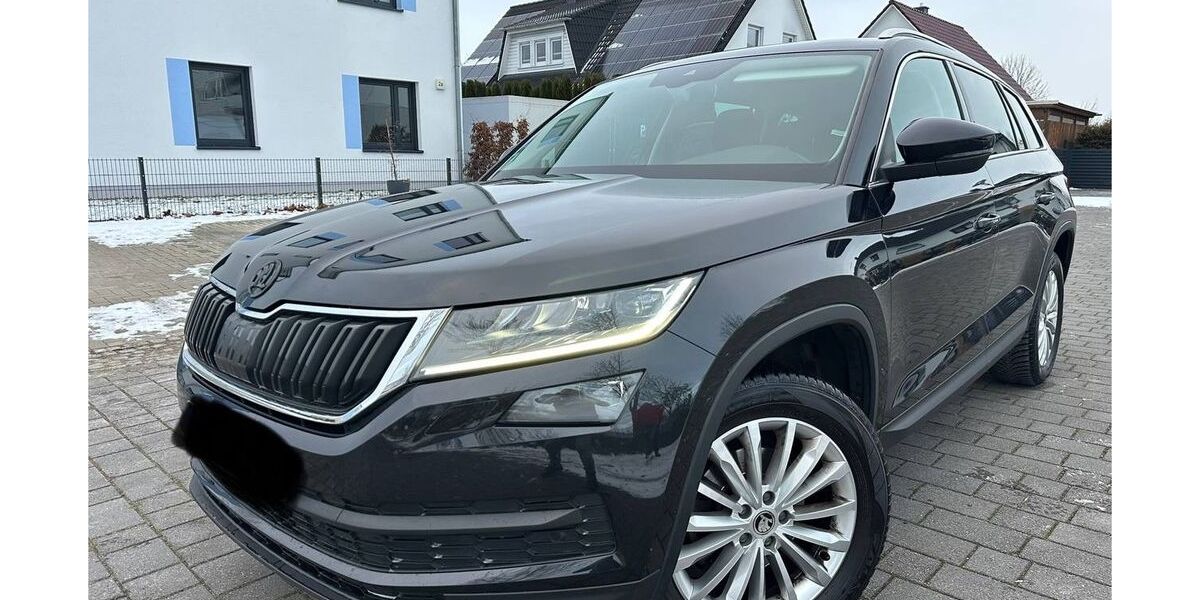 Skoda Kodiaq 117.349 km 19.990 &euro; Burg Stargard 17094