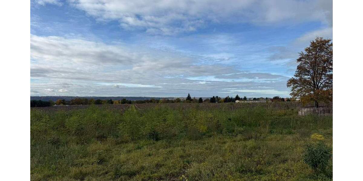 Grundstück Weinböhla - 280.540&euro; | Angebot:25748491