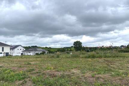 Grundstück zu verkaufen in Hillesheim 154.660 € 407 m² zimmer