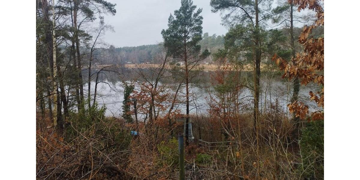 Bungalow Peitz - 35.000&euro; | Angebot:25056264