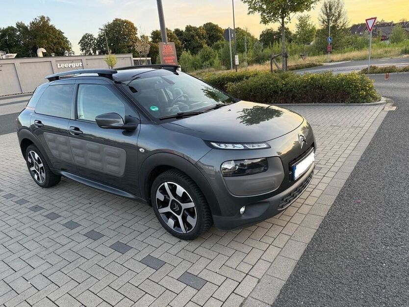 C4 Cactus