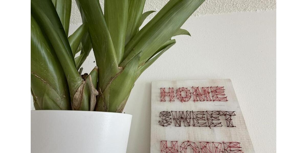 Etagenwohnung München Schwabing-Freimann - 1 Zimmer, 36 m&sup2;, 1.300&euro; | Angebot:26367297