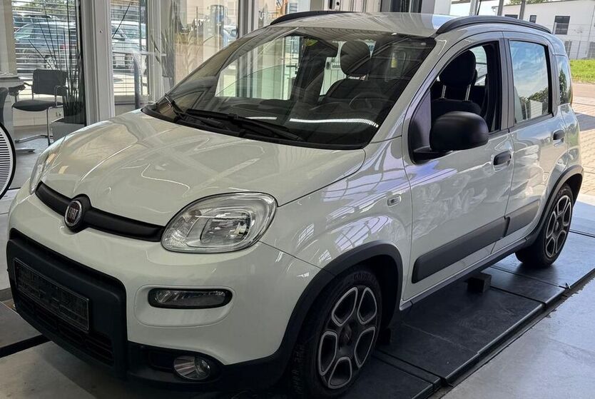 Panda